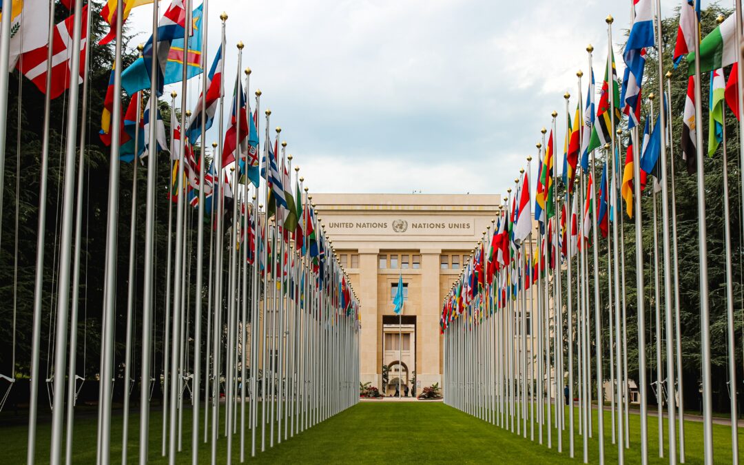 What Are the UN Sustainable Development Goals?